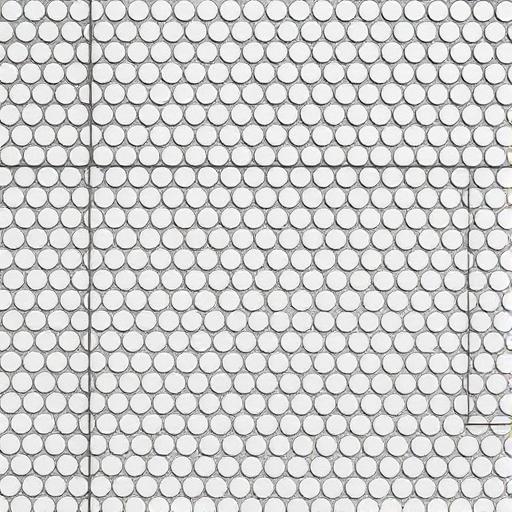 Mosaic & Penny Round sample